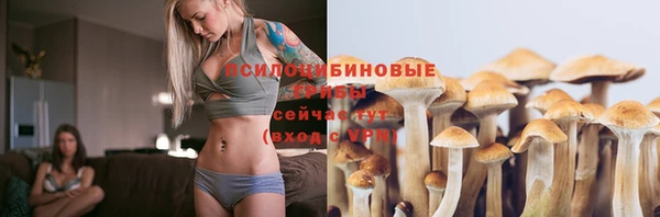 гашик Богородицк