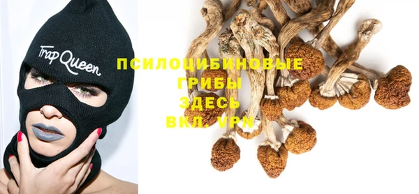 ALPHA-PVP Белокуриха