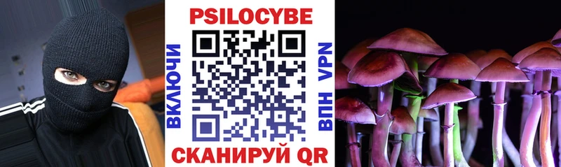 где можно купить наркотик  Волчанск  Псилоцибиновые грибы Psilocybe 